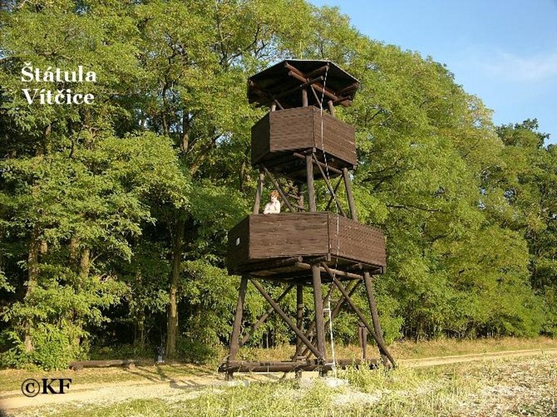 Vyklízení Vitčice